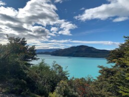 Centro Derecho de Conservación | DRC | (Ley 20.930)