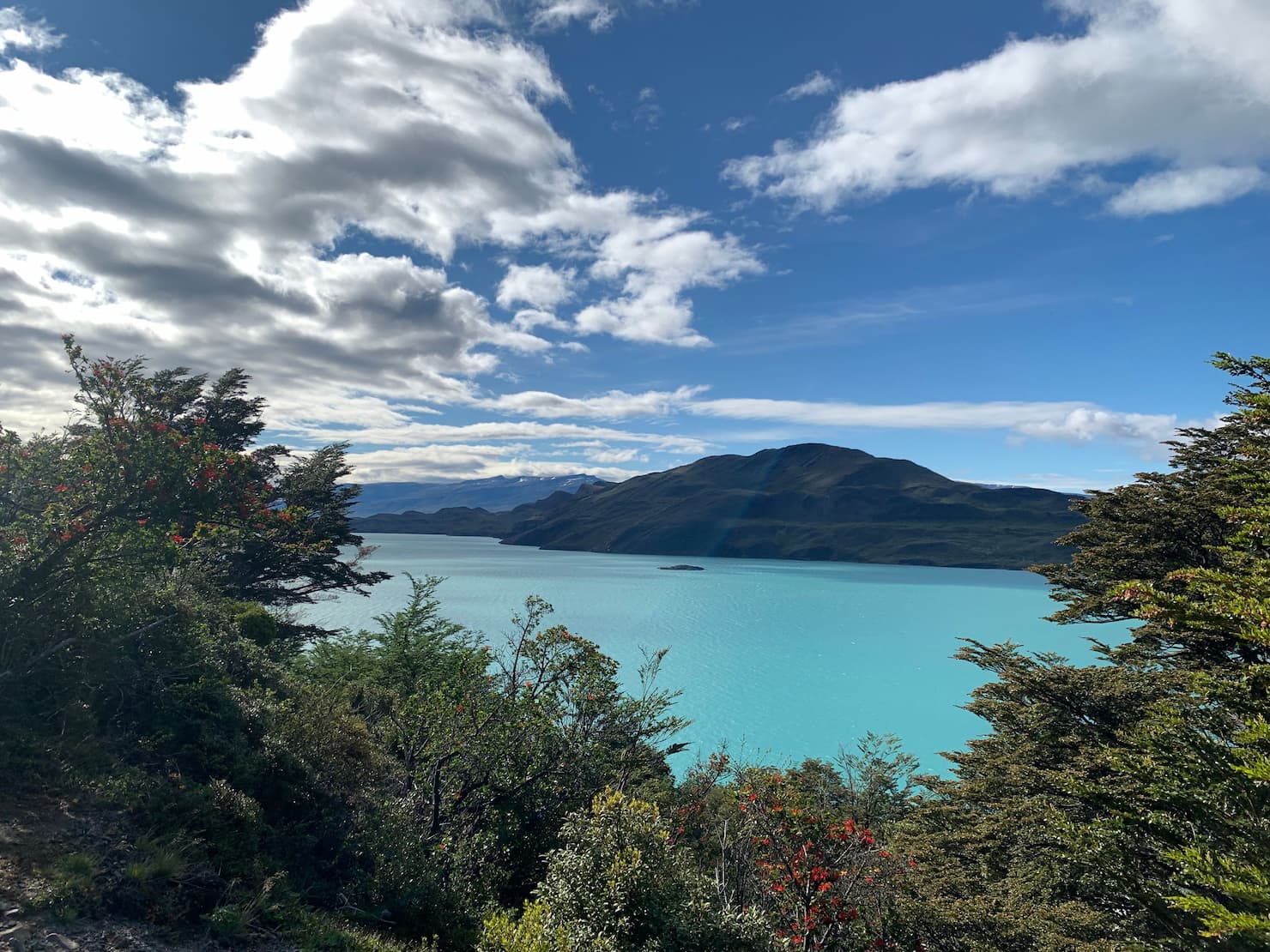 Centro Derecho de Conservación | DRC | (Ley 20.930)