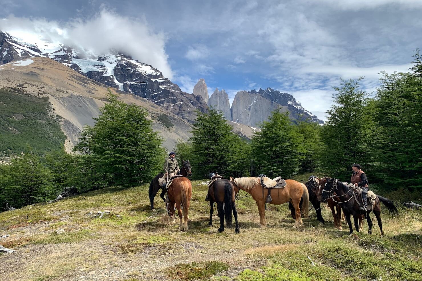 Centro Derecho de Conservación | DRC | (Ley 20.930)